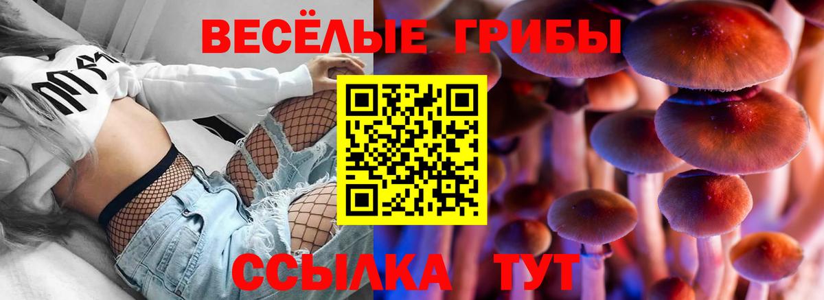 Зима  Псилоцибиновые грибы Psilocybine cubensis  даркнет сайт  Вход с VPN 
