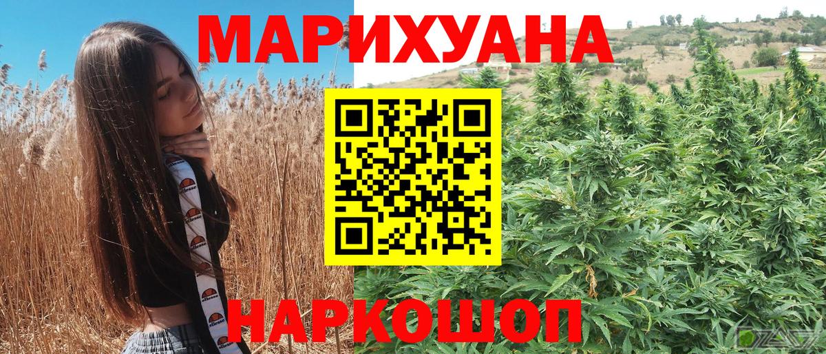 Канабис ГИДРОПОН Зима